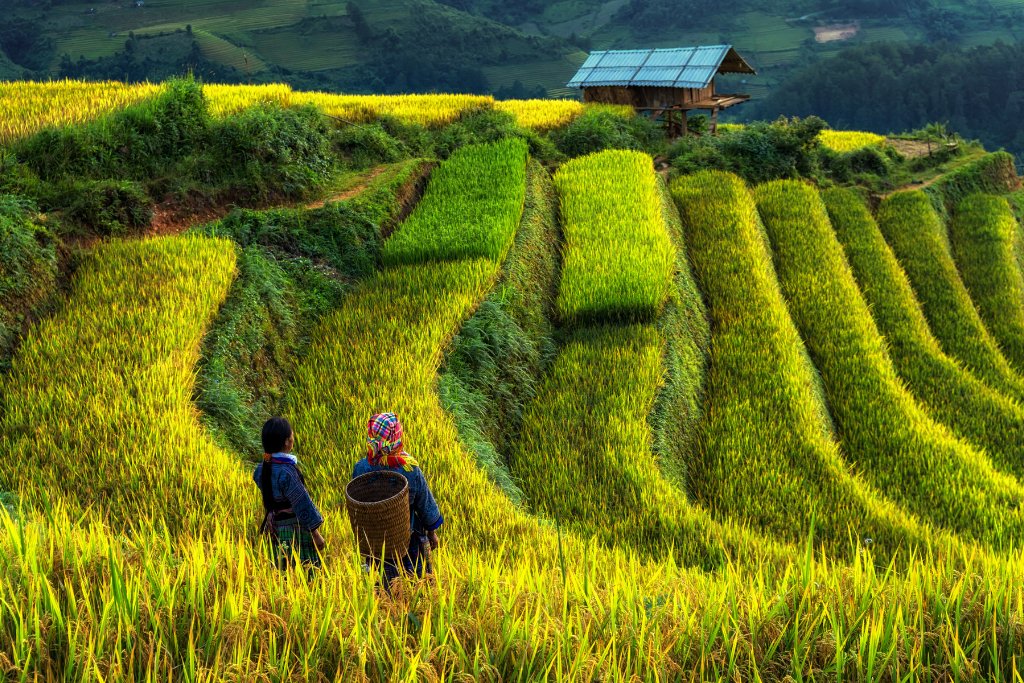 North Vietnam tour 16 days