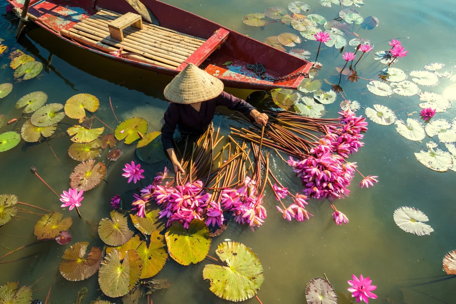 Circuit Vietnam 15 jours