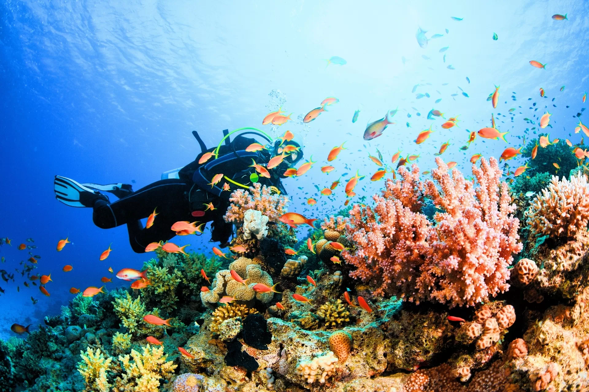 Vietnam Cambodge 18 jours avec plongée