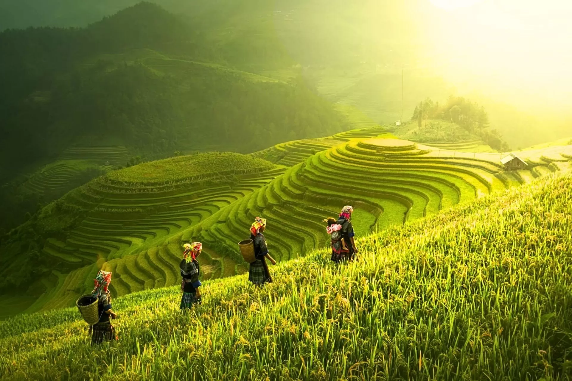 High-end North Vietnam tour 12 days