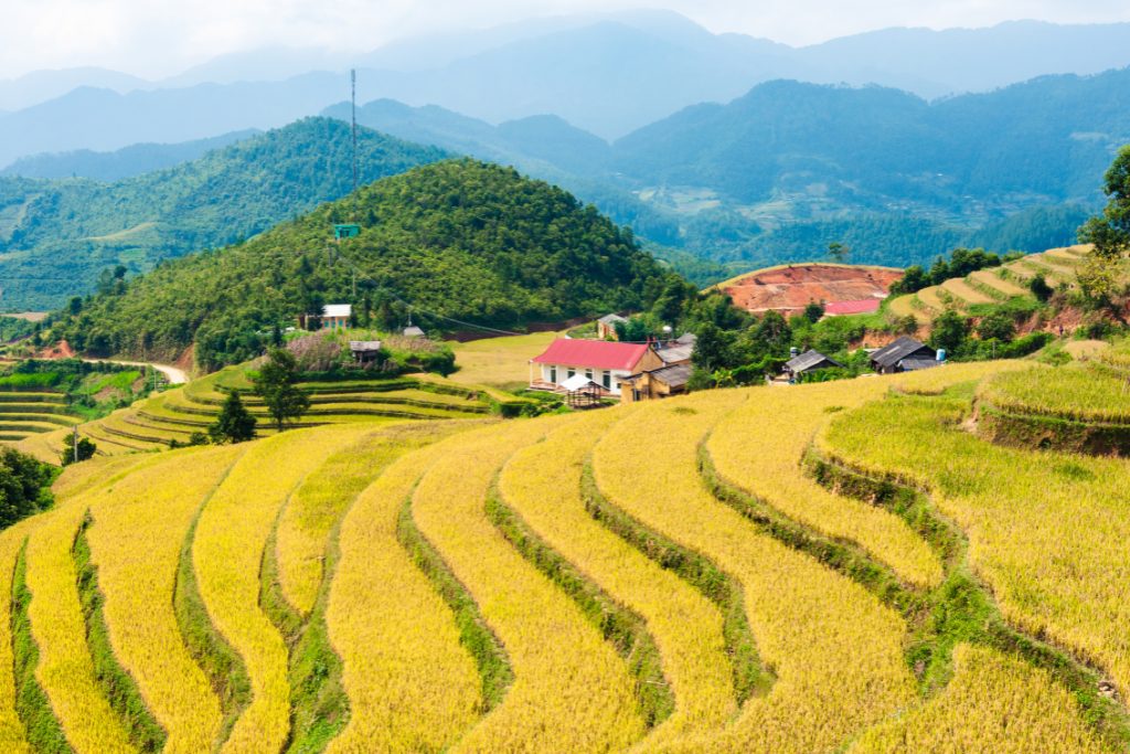High-end North Vietnam tour 12 days
