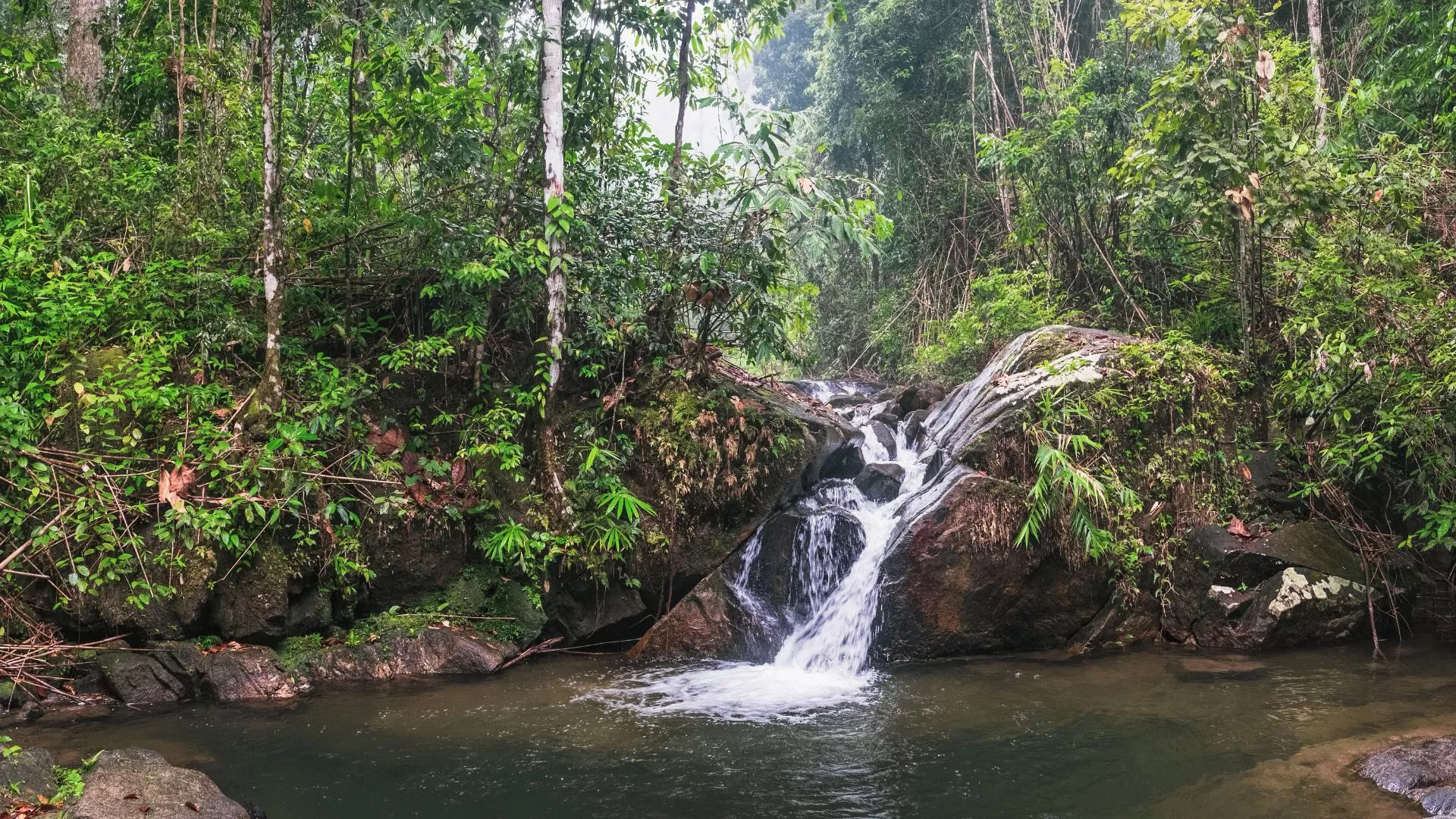 Khao Lak National Park - Lam Ru