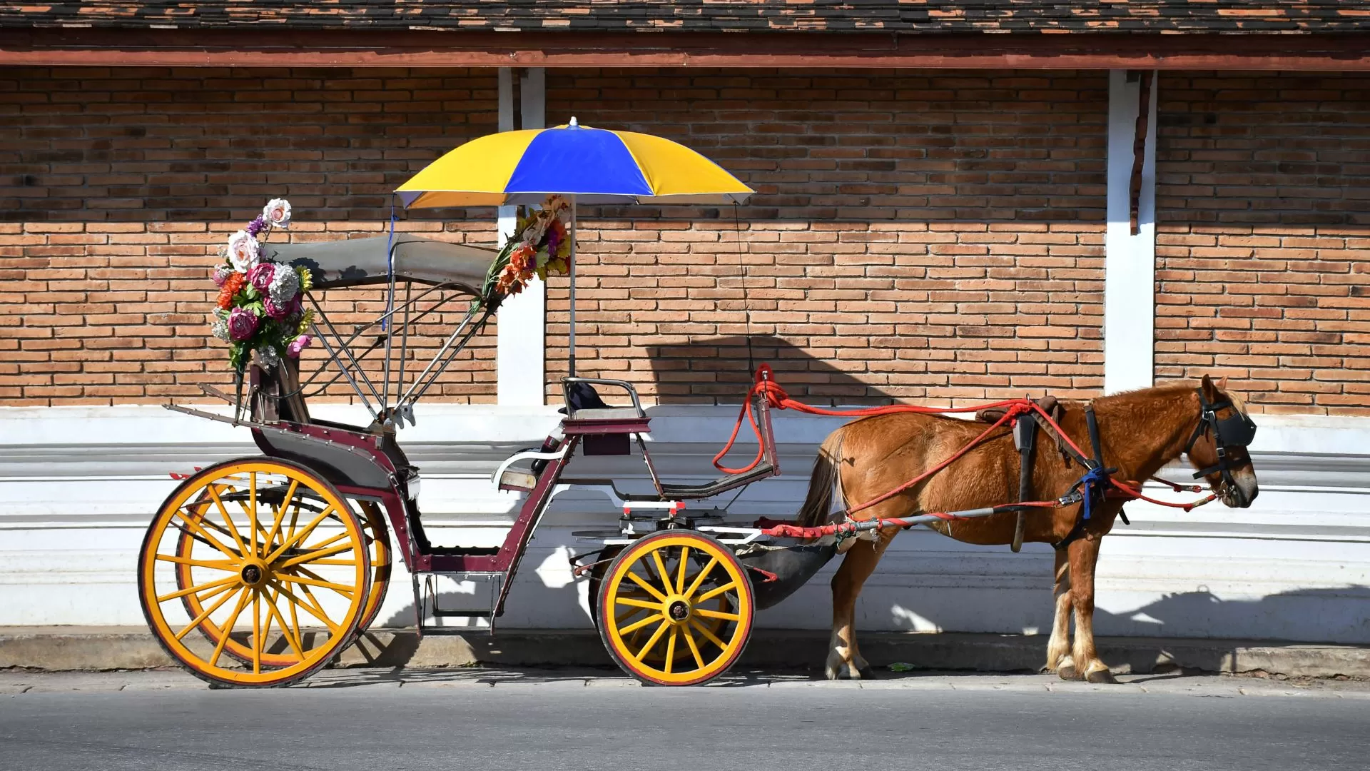 Balade en calèche pour découvrir le centre-ville