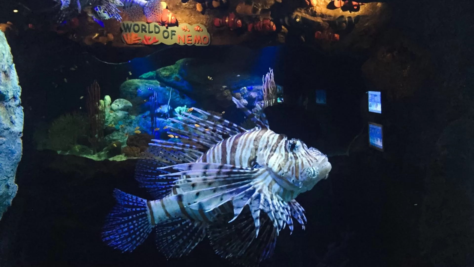 Underwater World Pattaya est une activité éducative et divertissante pour les familles