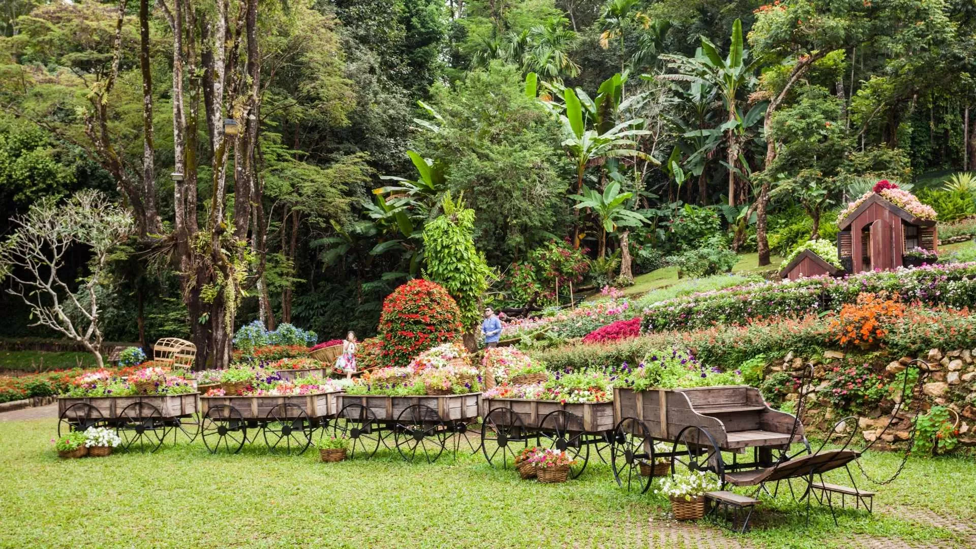 Mae Fah Luang flower garden