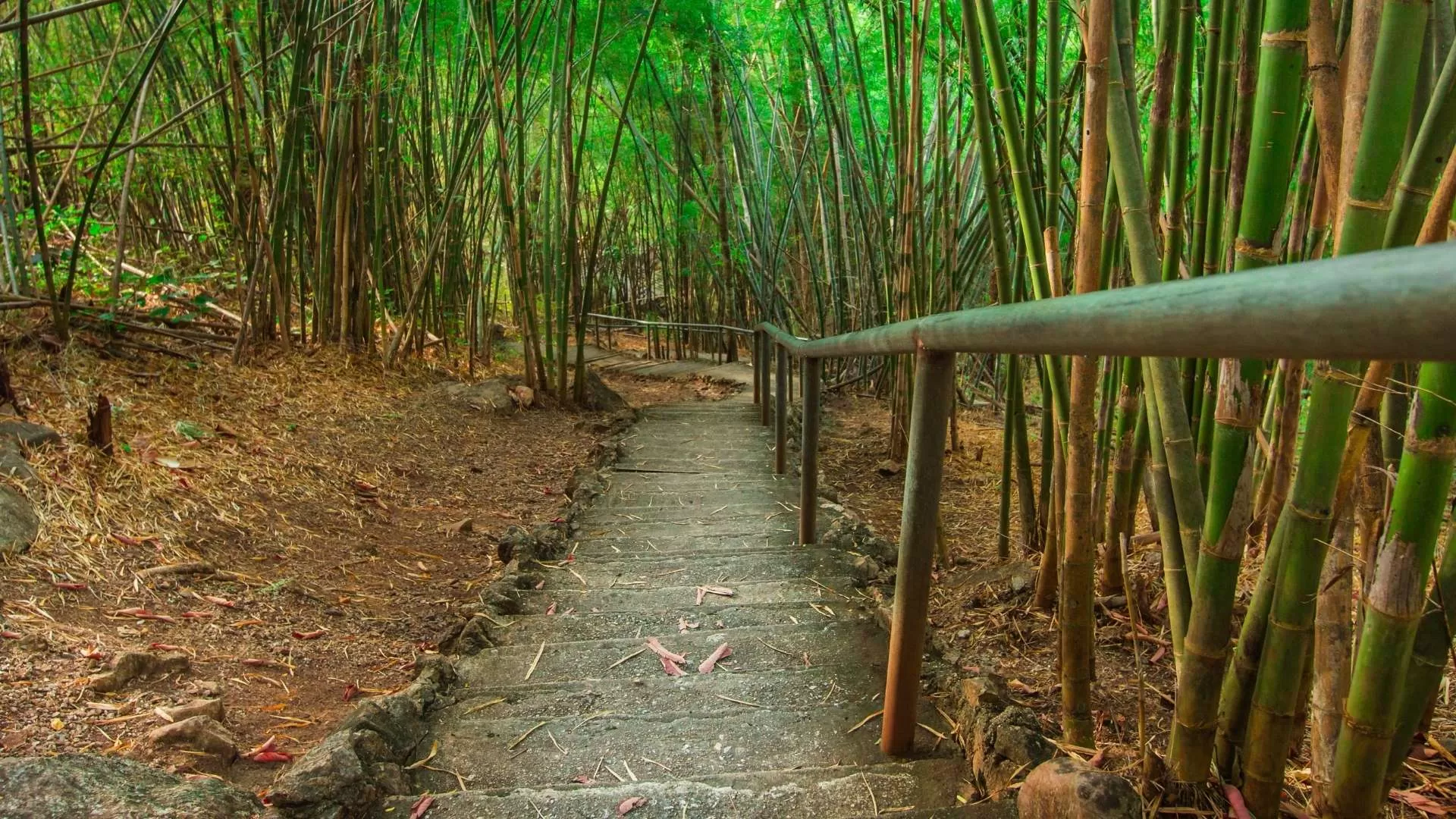 Le col des feux de l’Enfer