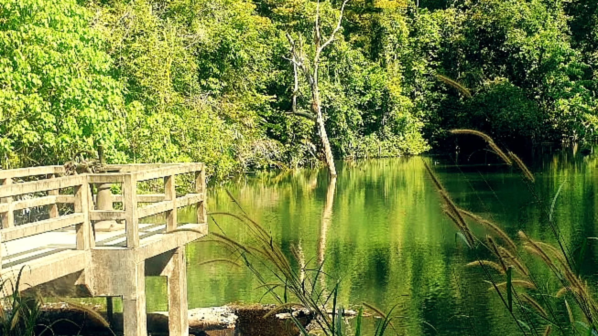 Cascade de Khlong Chak