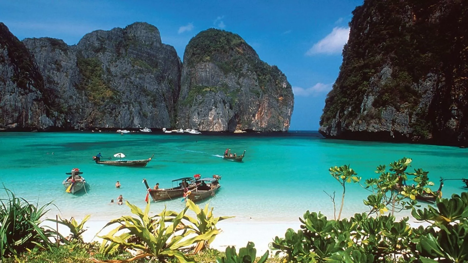 Maya Bay in Phi Phi island
