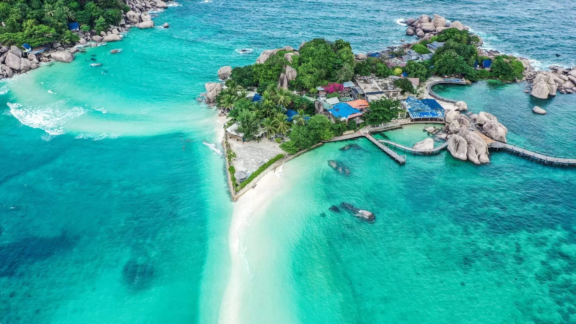 Take a day trip to Koh Tao