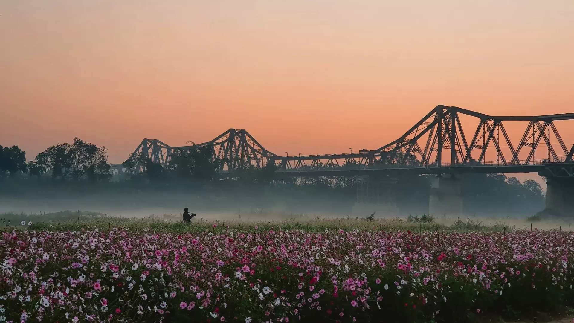 Plage de rochers du fleuve Rouge