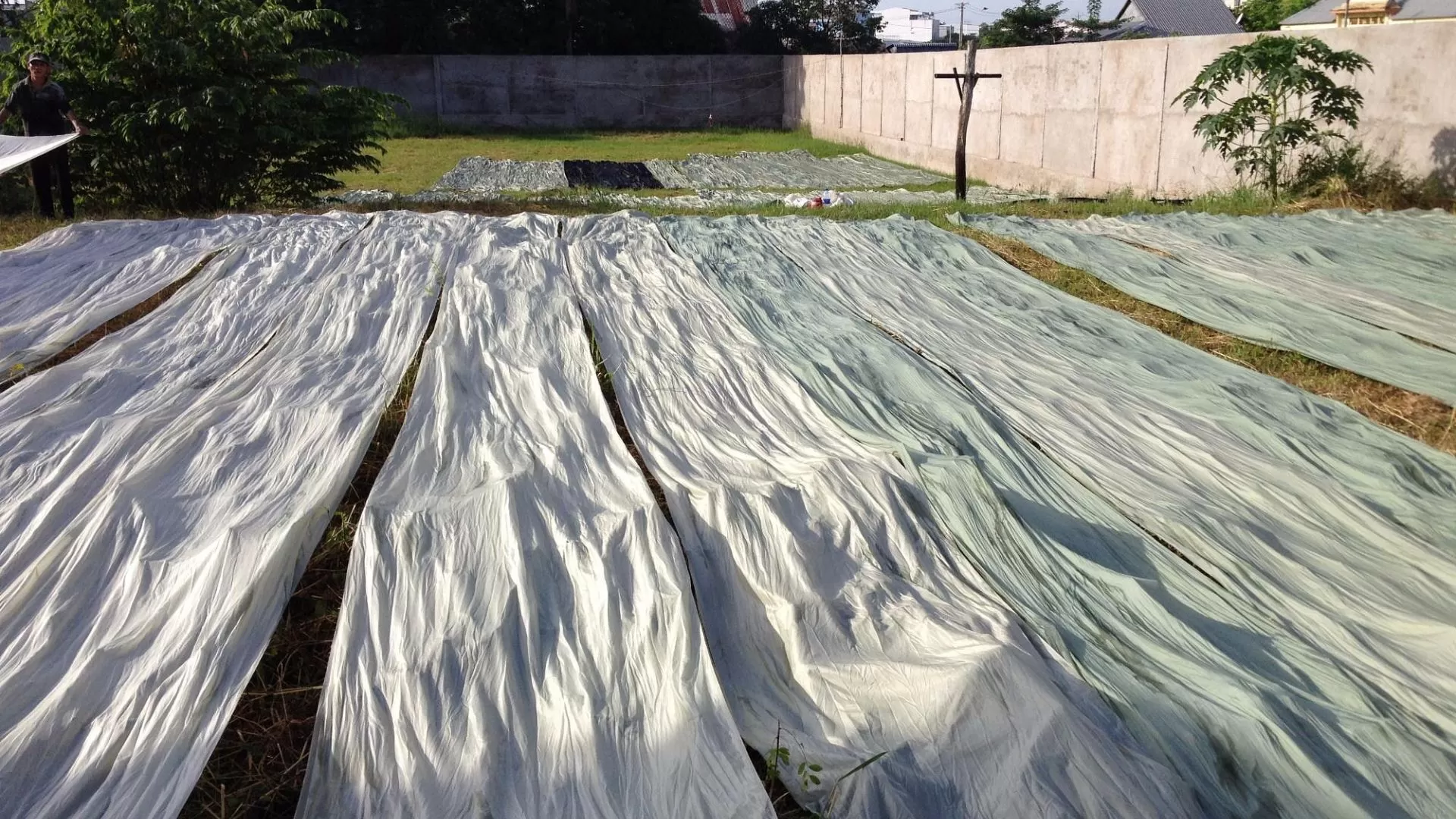 Village de soie de Tan Chau