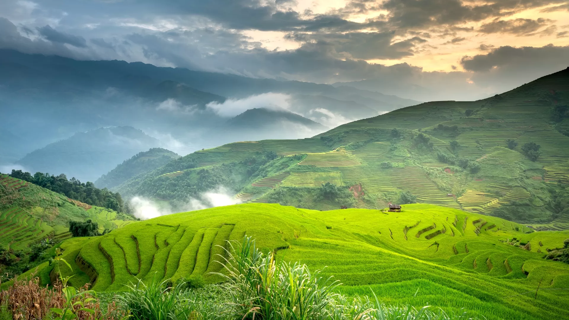 Mu Cang Chai au printemps
