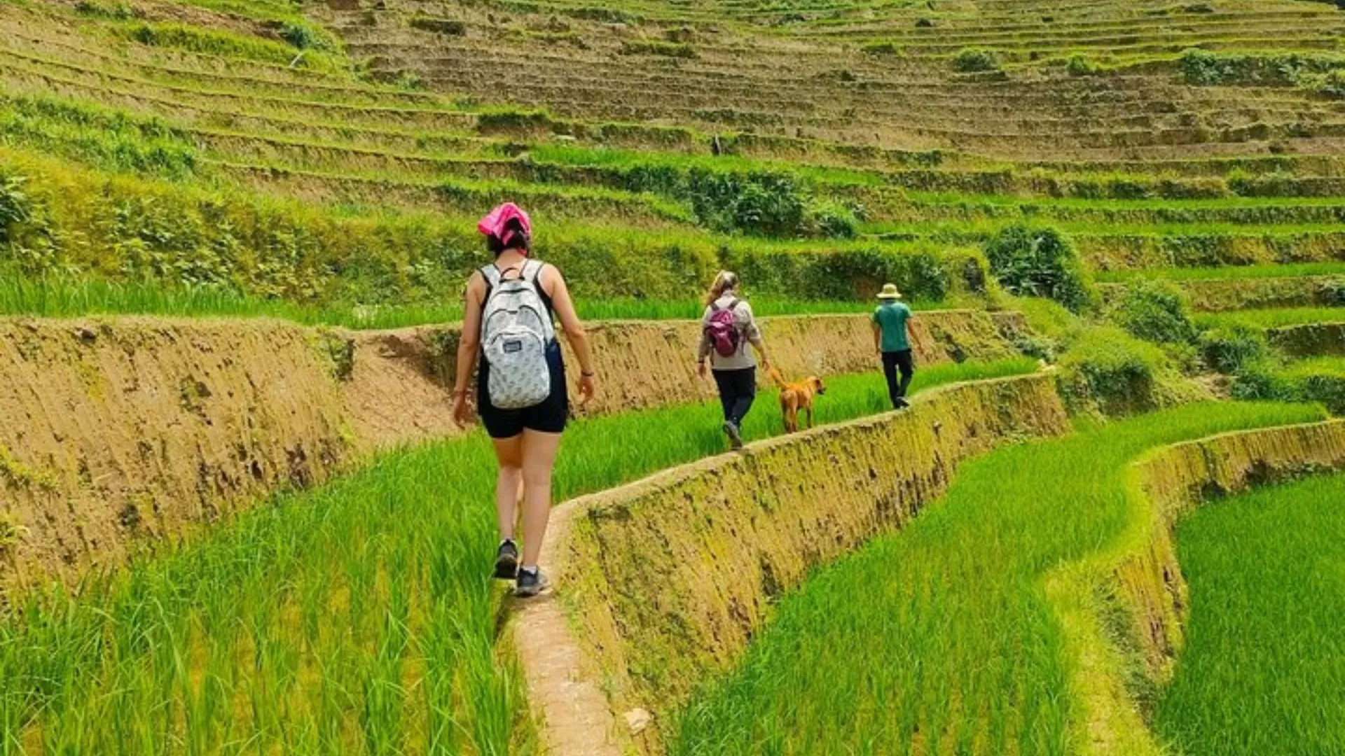 Trekking à Mu Cang Chai