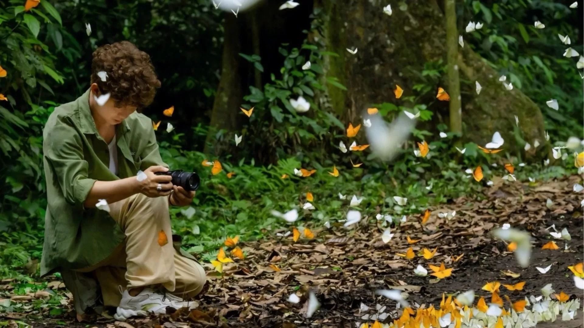 Parc national de Cuc Phuong