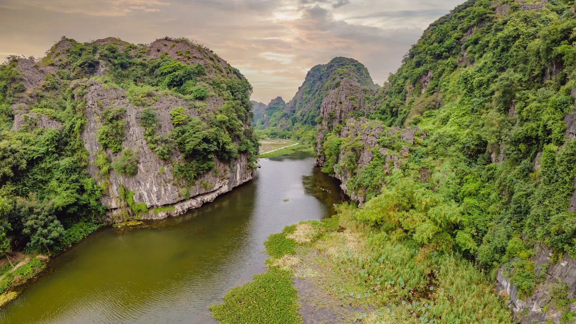 Le rivière Ngo Dong dans la province de Ninh Binh