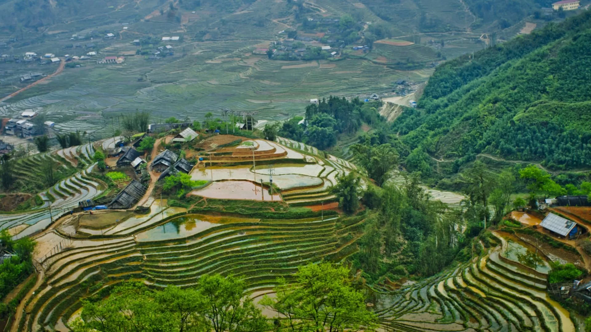 La vallée de Muong Hoa
