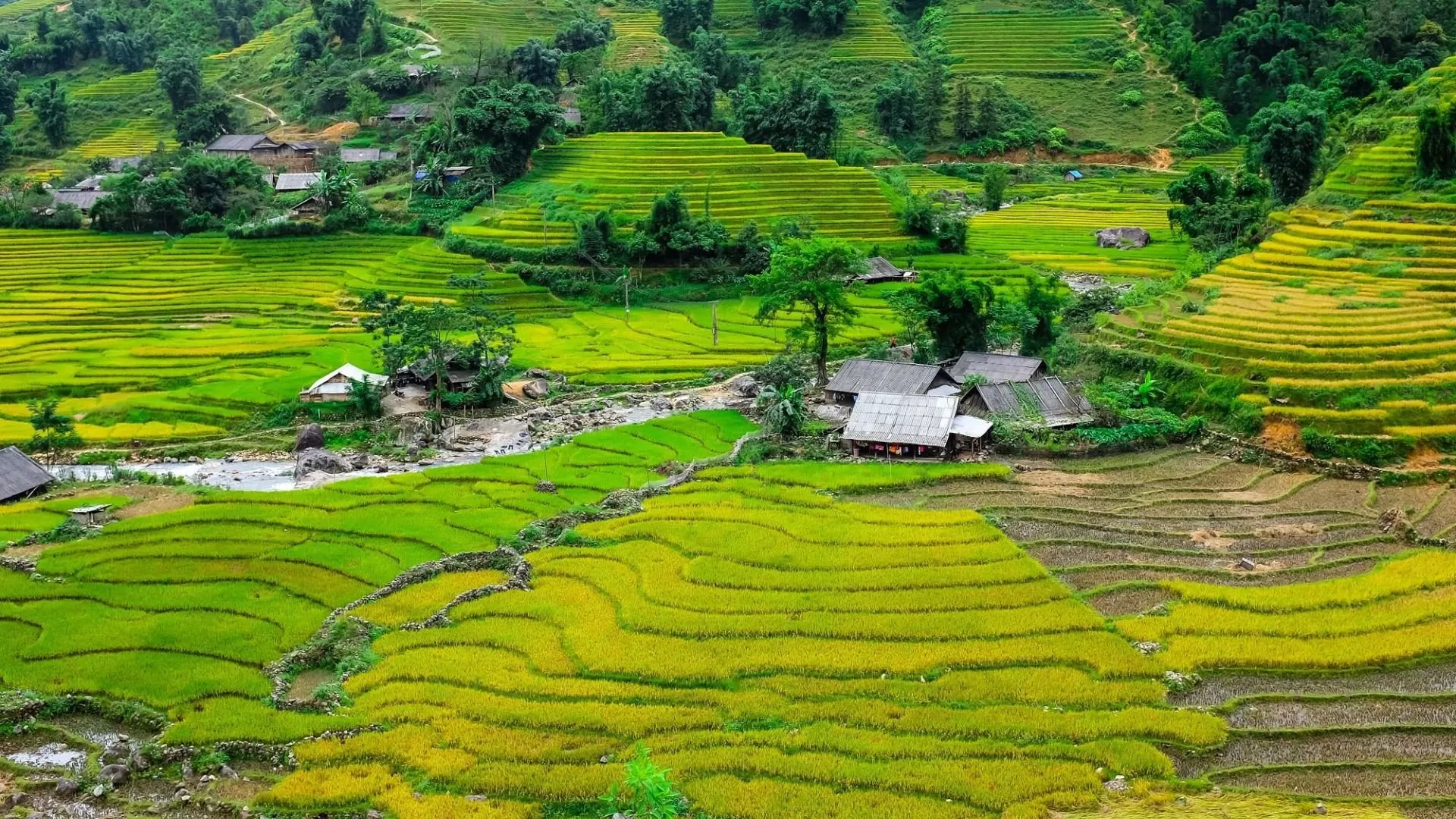 Le village de Ta Van - un véritable centre artisanal