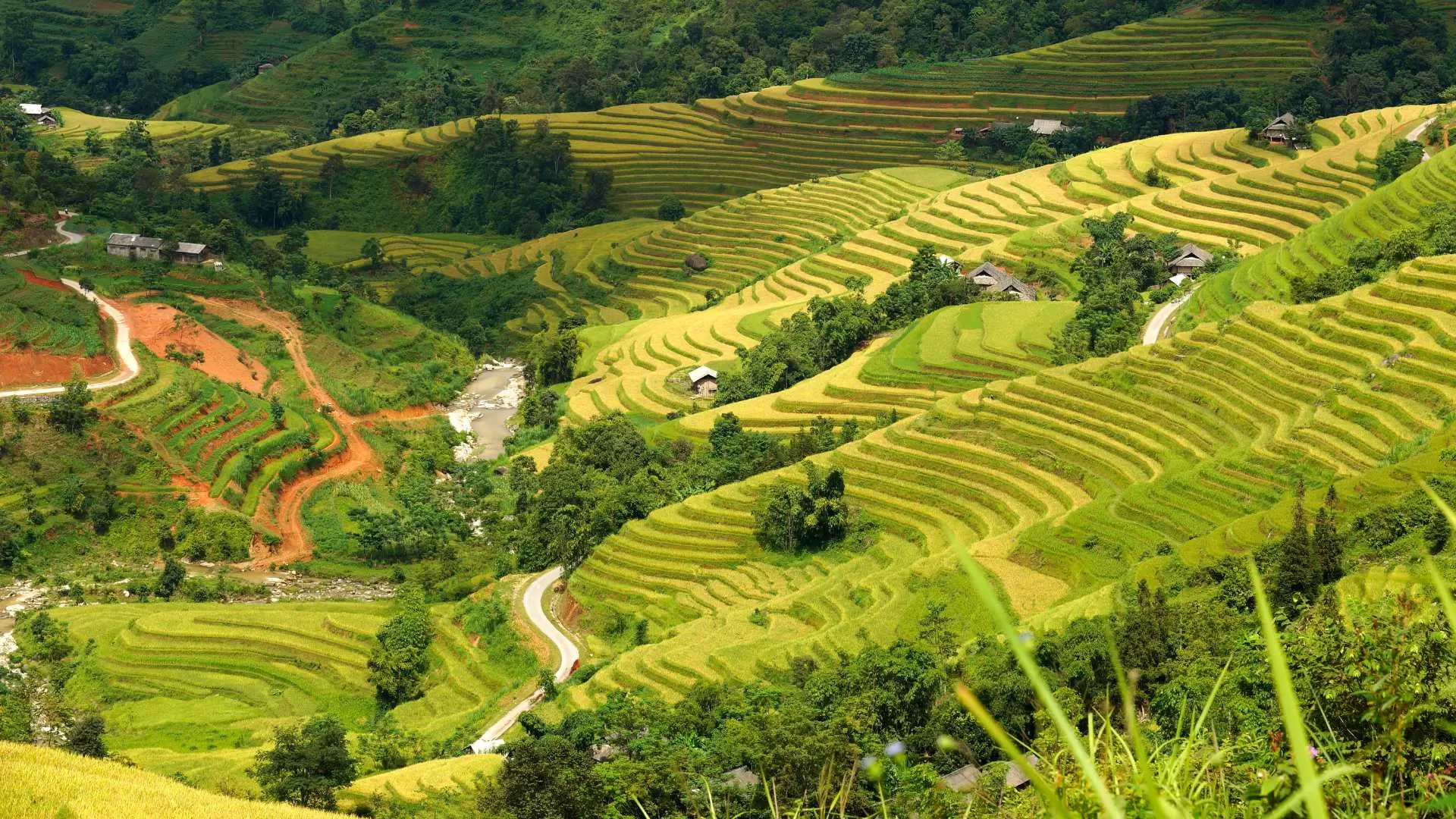 Quand partir à Ha Giang ?
