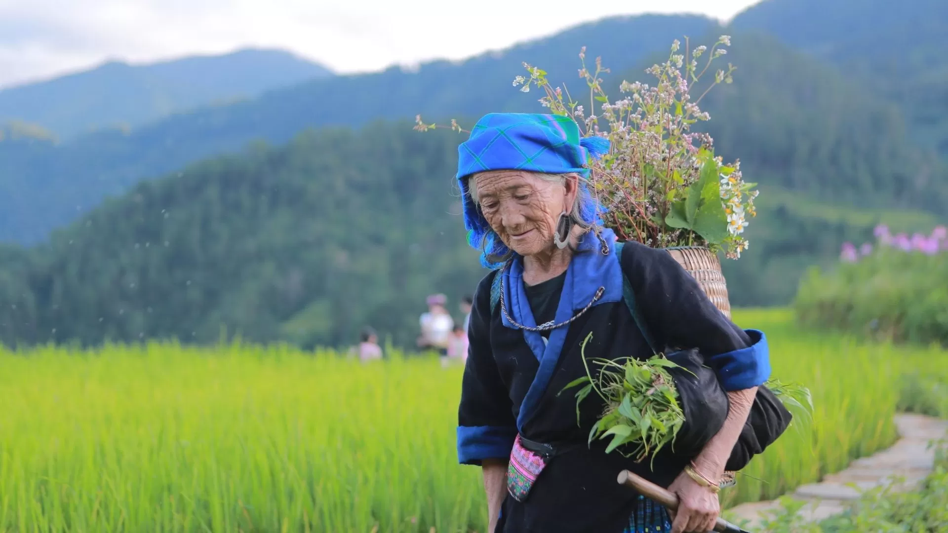 Les habitants vivent simplement, au rythme des rizières.