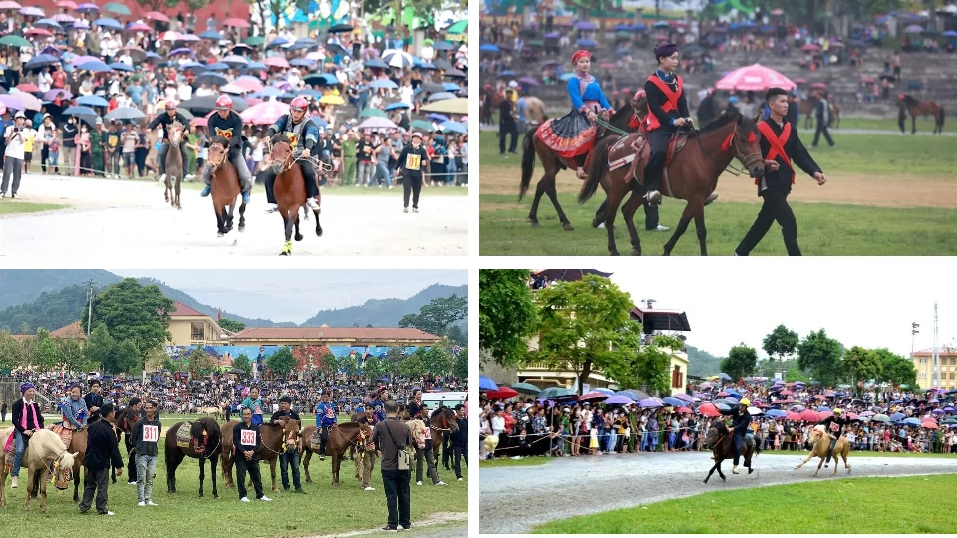 White Plateau Festival