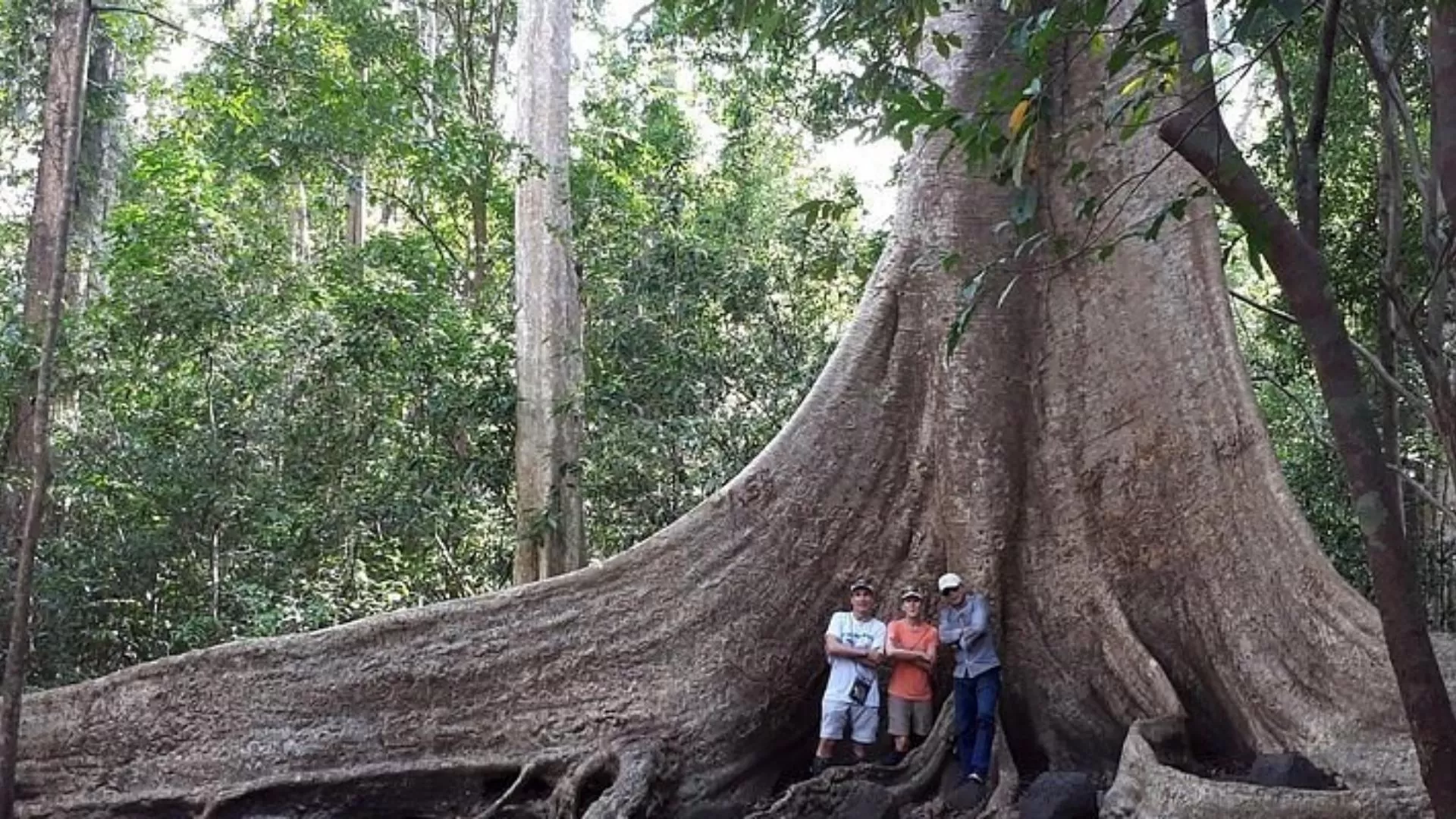 Jungle hiking in Cat Tien National Park