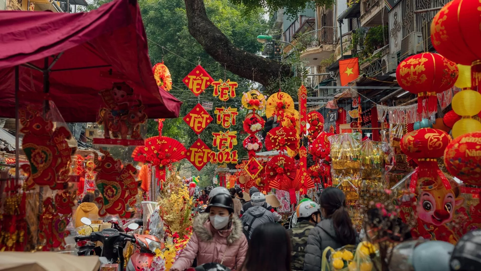 Enjoy the festive of Tet holiday