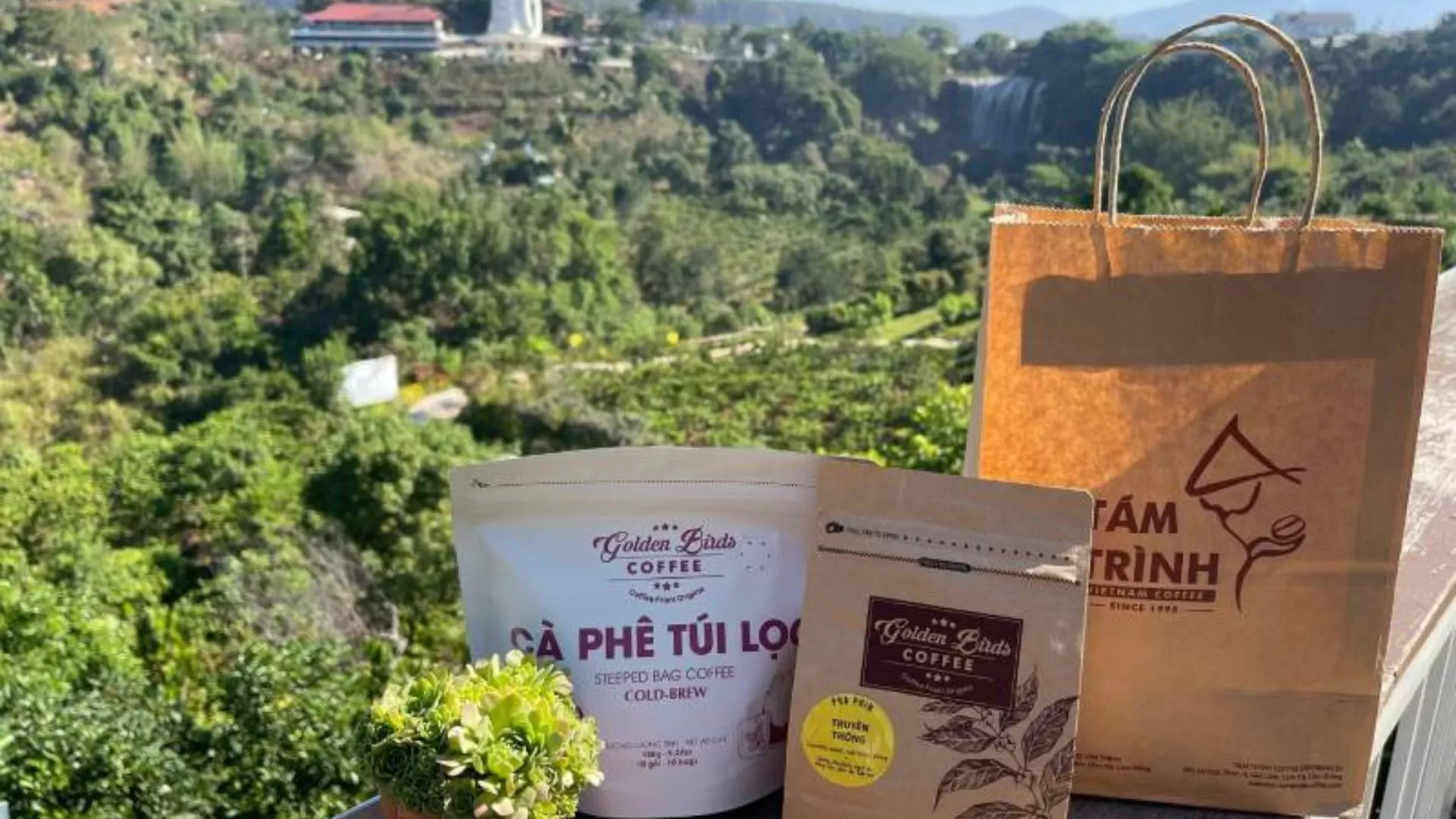 Produits de sachets de café filtre à huit processus