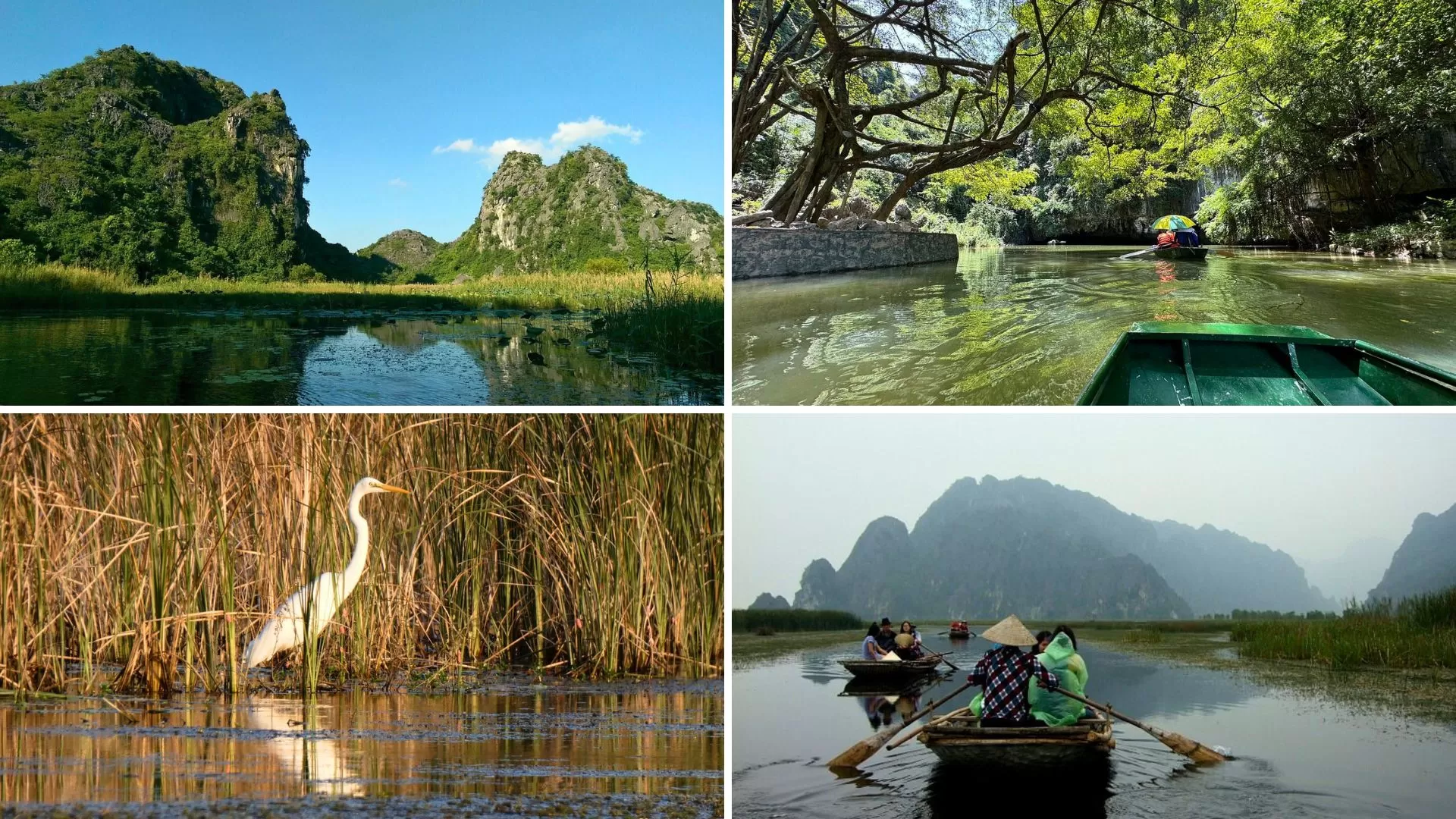 Van Long Nature Reserve