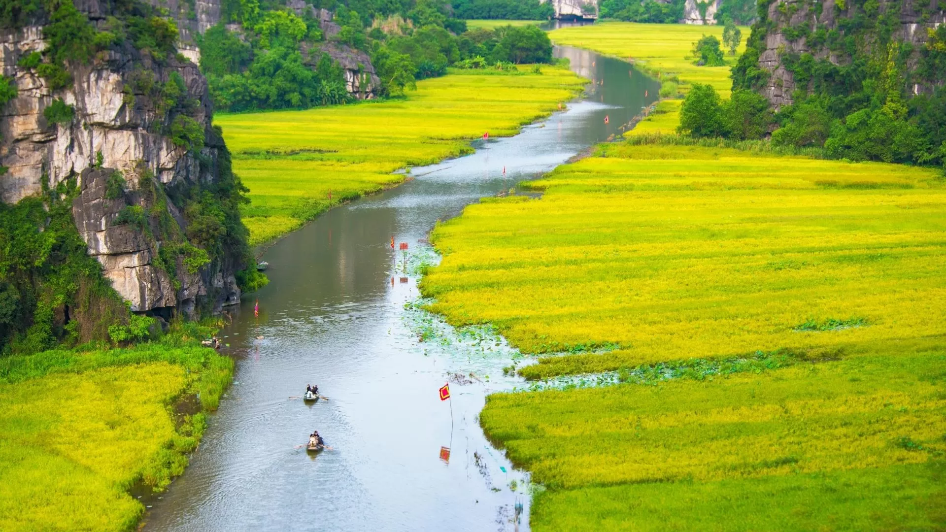 Traditional boat ride in Tam Coc