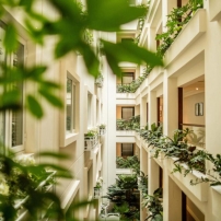 apricot-hotel-02