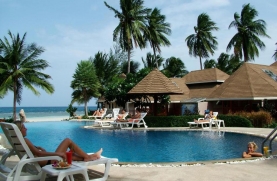 Koh Tao Coral 3