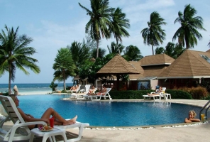 Koh Tao Coral 3