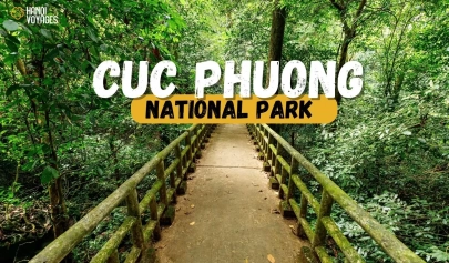 Guide to visiting Cuc Phuong national park