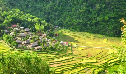 Top 5 des activités à Pu Luong, réserve naturelle, must à découvrir