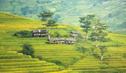 Sapa Village Vietnam : Voyage Unique Pendant Le Nouvel An Lunaire