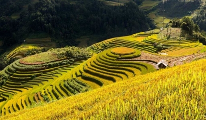 A Complete Guide For Mu Cang Chai Travel