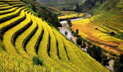 The Ultimate Guide For Sapa Travel