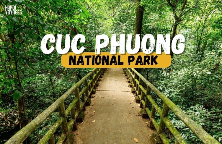 Guide to visiting Cuc Phuong national park