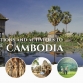 Top 9 attractions and activities to explore Cambodia in January