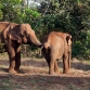 Que Faire à Mondulkiri
