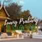 Visit Luang Prabang in 3 days: A complete guide