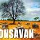 Que Faire à Phonsavan