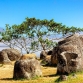 10 Expériences Uniques En Voyage Au Laos 