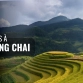 Top 9 activités à Mu Cang Chai à ne pas manquer