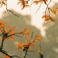 Seasons In Hanoi: The Trending Guide To Explore Hanoi