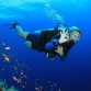 Top 7 Fascinating Scuba Diving In Vietnam Not Be Missed