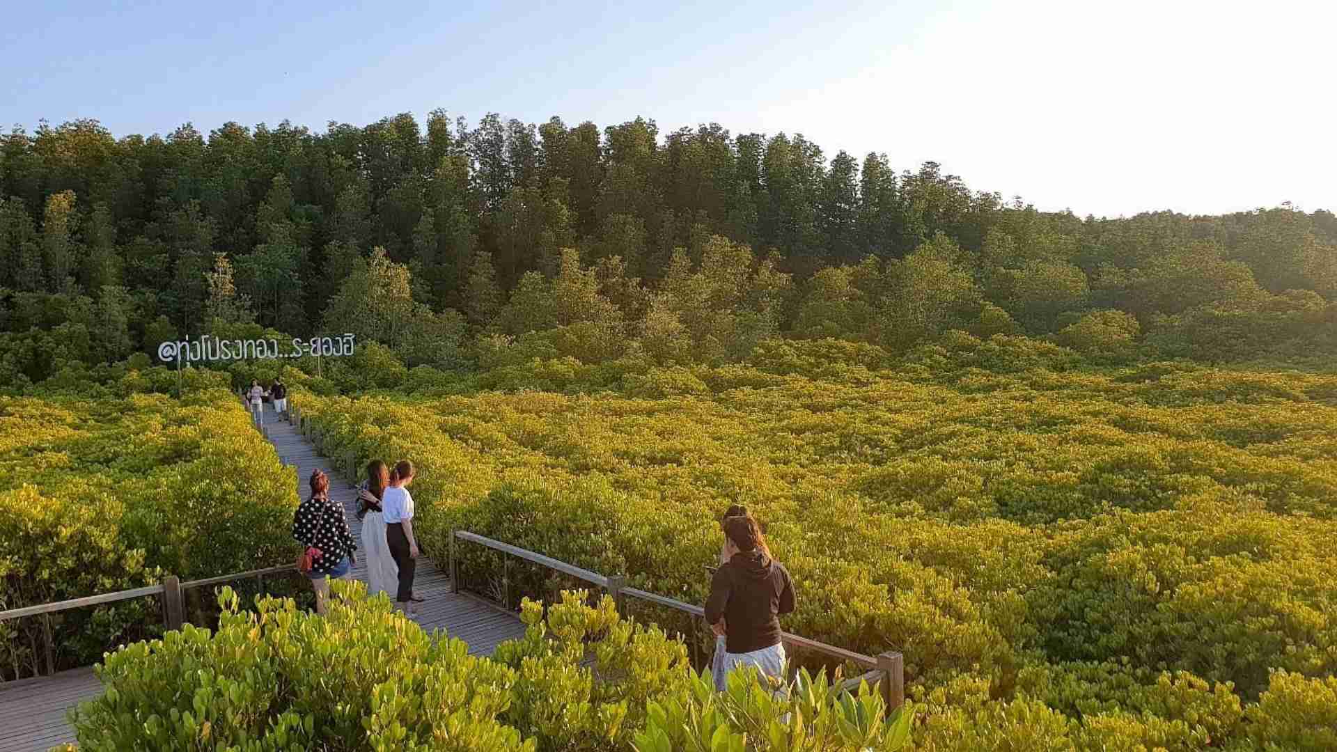 Thung Prong Thong (Golden Meadow)