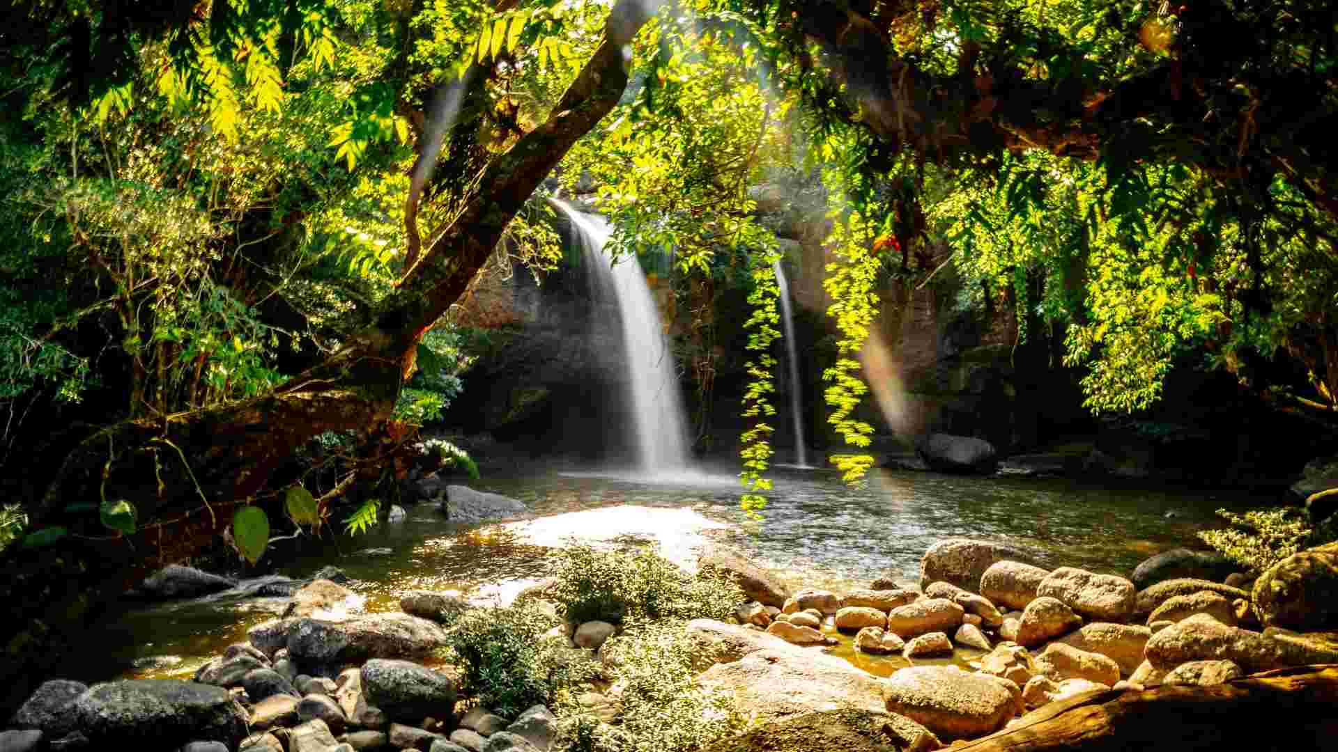 Khao Yai national park