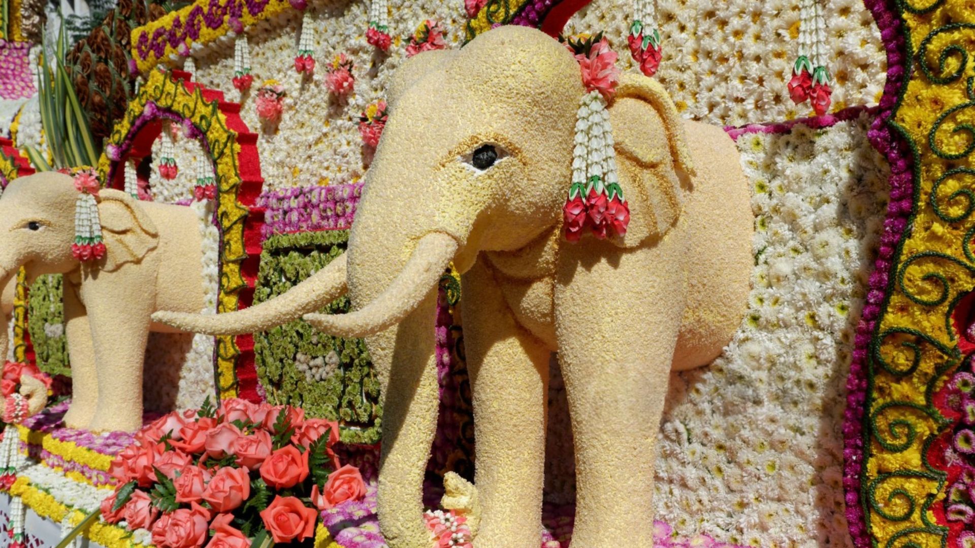 Festival des fleurs de Chiang Mai