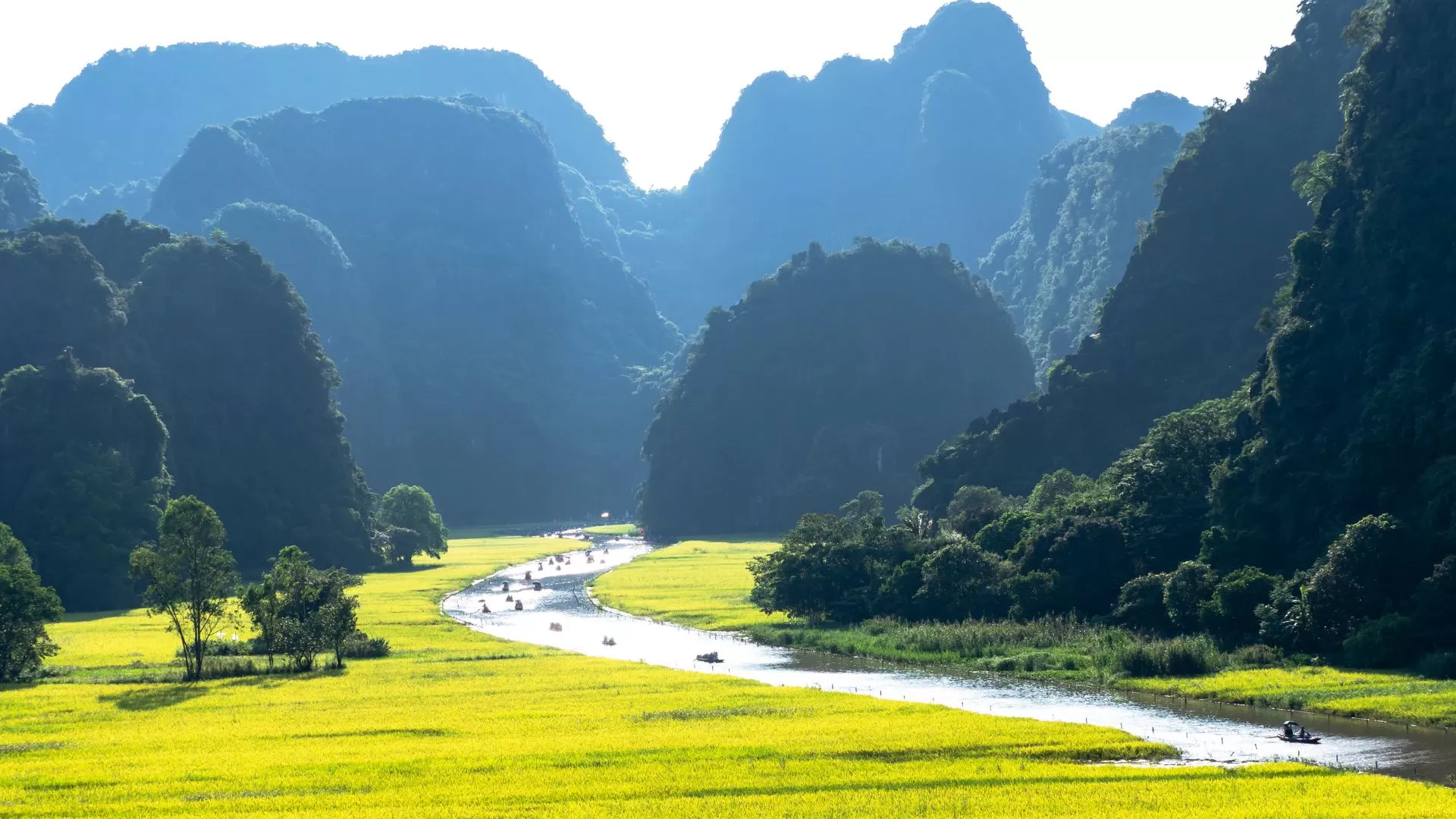 Paysage naturel époustouflant de Tam Coc - Ninh Binh 